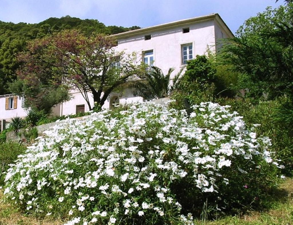 Casa A Rota Chambres D'Hotes Ersa Zewnętrze zdjęcie
